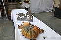 VBS_1357 - Fiera Nazionale del Tartufo e dei Santi 2022